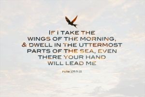 ff12f898d9e2bc19a294248a4c1af252