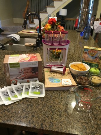 Homemade baby food made simple!